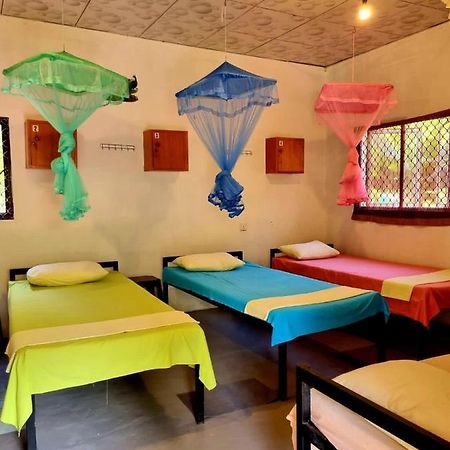 Helena Hostel Dikwella Eksteriør bilde
